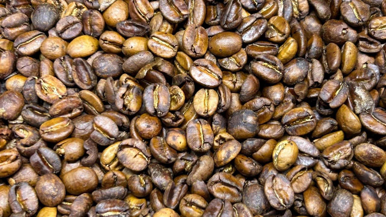 Liquid Gold or Hidden Risk? Reassessing the Safety of Coffee Oil