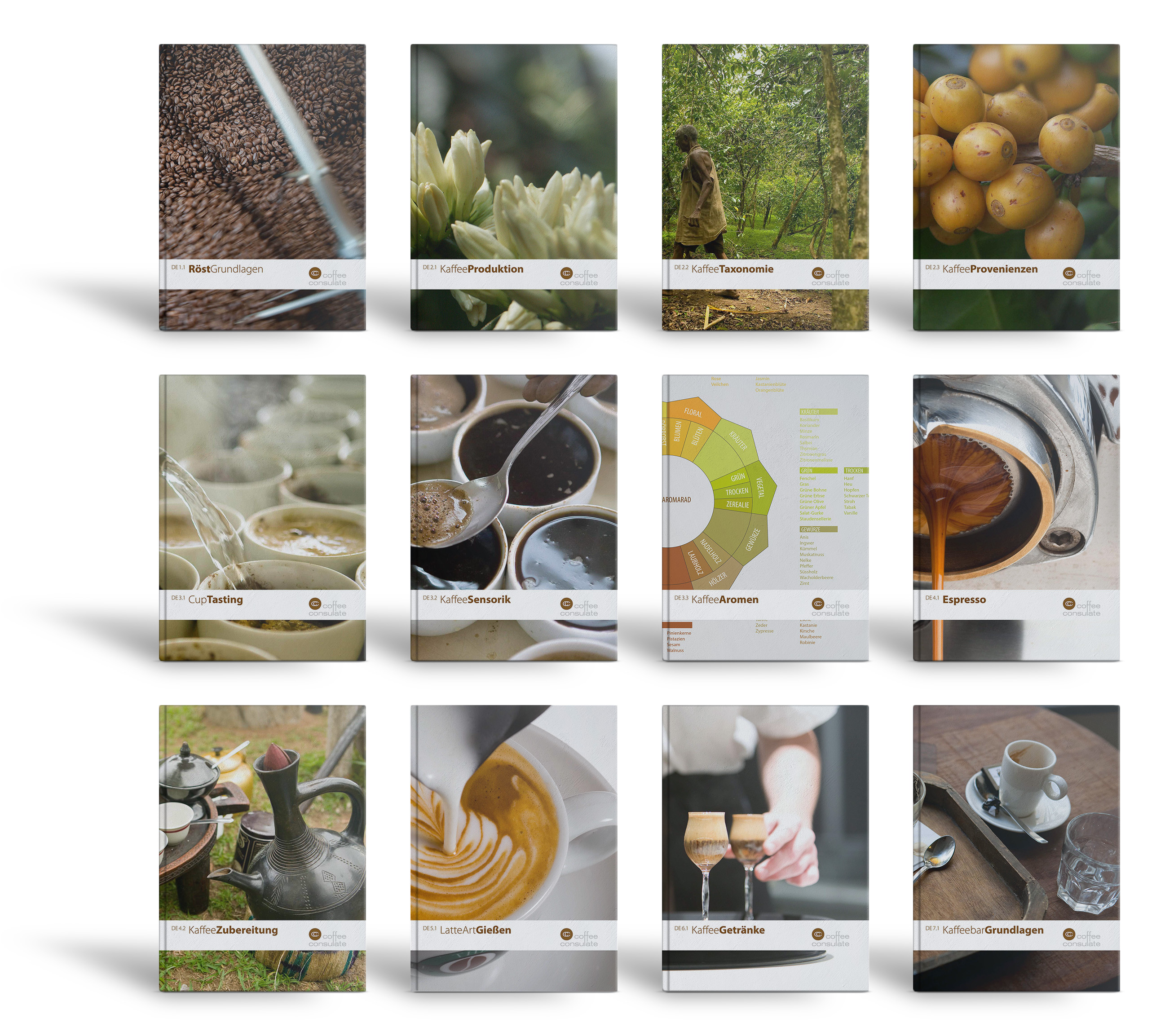 CoffeologistEducation